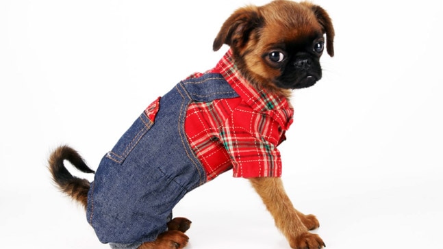 Photo: Getty Images Photo: Getty Images