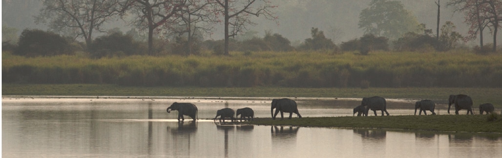 Do we not care about the environment