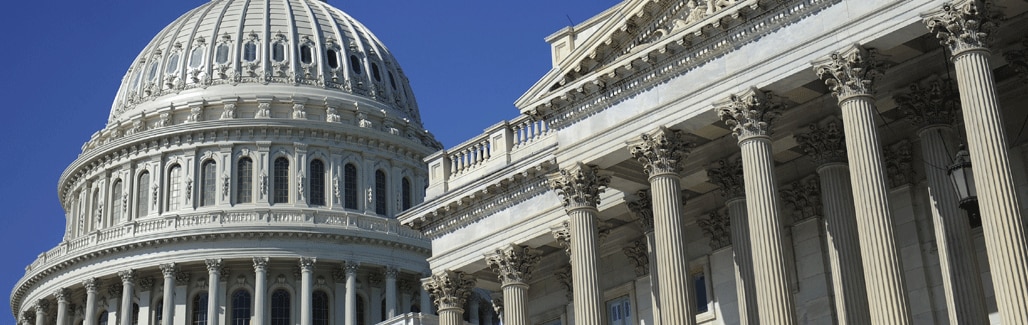 America, you'll never vote yourself out from under a dead democracy