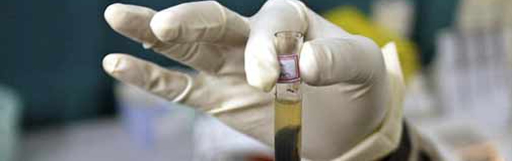 Scientific research has many cheater cocks Scientific research has many cheater cocks