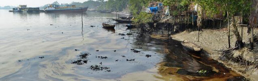 Sundarbans oil spill: The toxic knows no borders