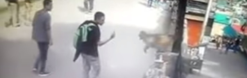 Tip: Why you shouldn't show a monkey the finger