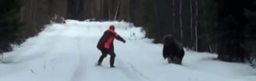 [Watch] How a Swedish man scared a bear. Video sees almost two million views