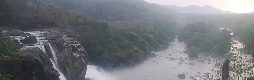 How an ancient Kerala forest is on the verge of drowning How an ancient Kerala forest is on the verge of drowning