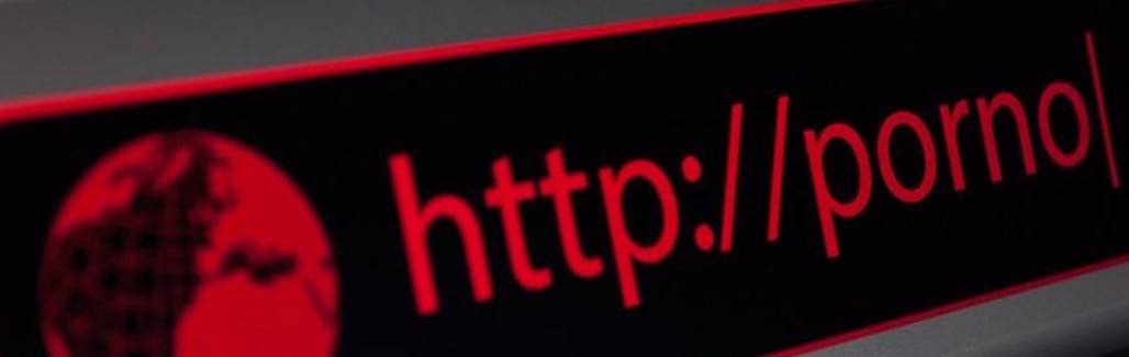 Why Indian men crave a porn ban Why Indian men crave a porn ban