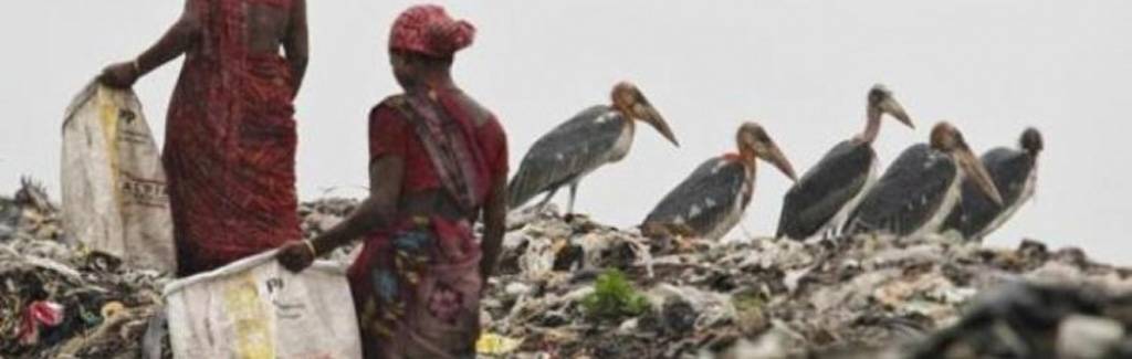 Swachh Bharat cess may turn indirect taxes into a mess