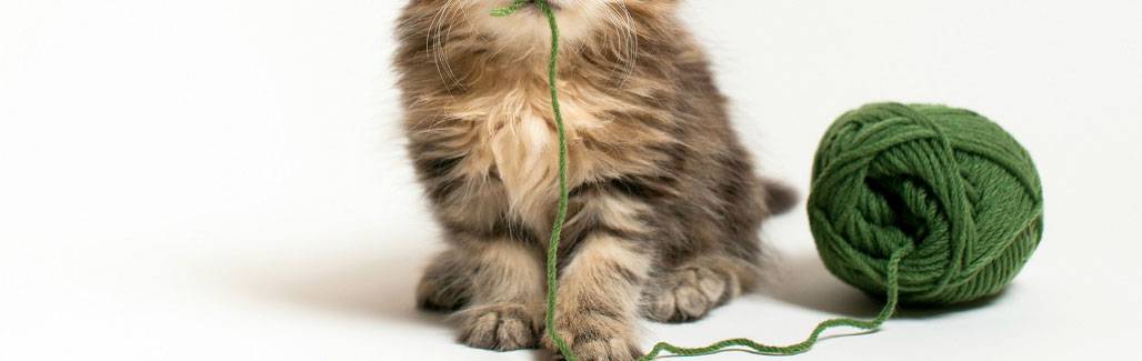 Warmth and joy of knitting during winters Warmth and joy of knitting during winters