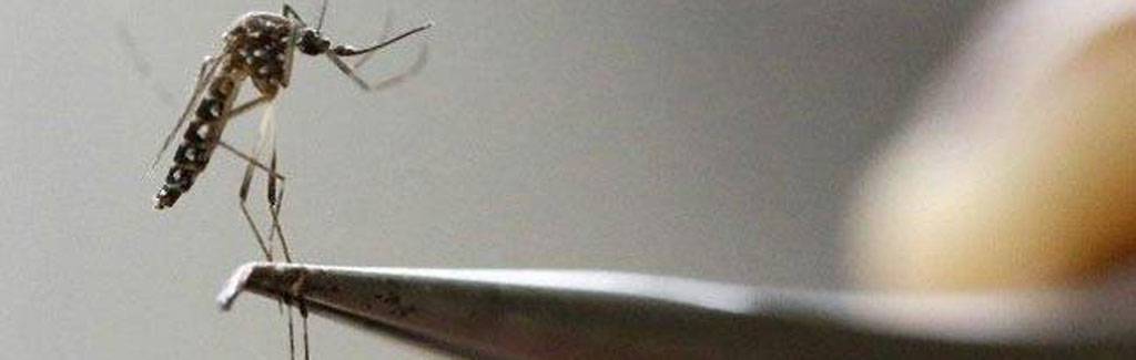 Why India need not worry about Zika