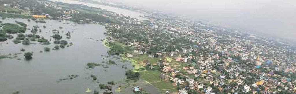 Was COP22 a success?