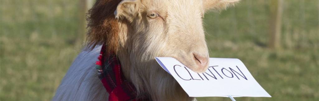 Psychic creatures are predicting Trump as next US president