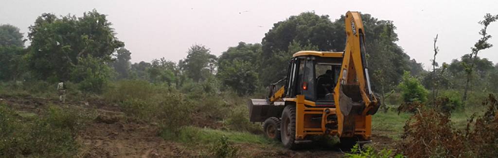 What we'll lose if we destroy Delhi's Bela Estate in the name of protecting Yamuna What we'll lose if we destroy Delhi's Bela Estate in the name of protecting Yamuna