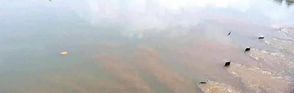 The taste of death as it snatches away three young Stephanians in Kerala