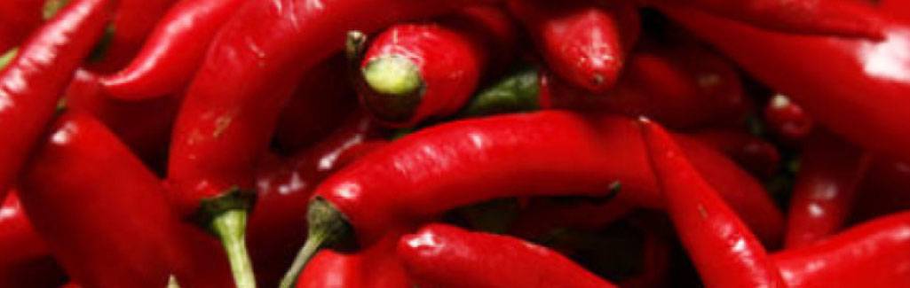 Pepper has more health benefits than you know Pepper has more health benefits than you know