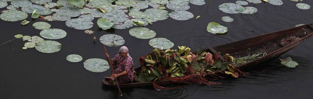 Why I was filled with guilt to see the horror that flows underneath the heaven in Kashmir