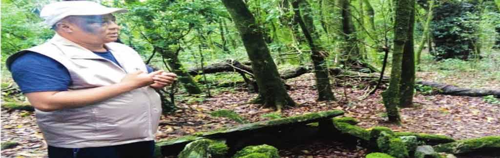 A look inside Meghalaya's lesser known sacred groves