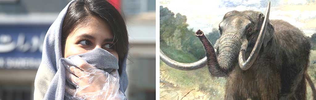 DailyOh! Why you can't stop touching your face, to the disease that wiped off the mastodon