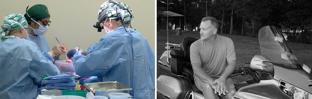 Brain dead patient successfully gets genetically modified pig's kidney. The case in 5 points