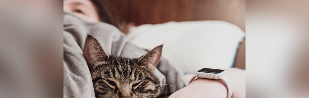 Electricity company asks customers to cuddle with pets to keep warm and save money