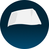 एन सरवनन