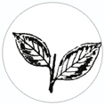 AIADMK