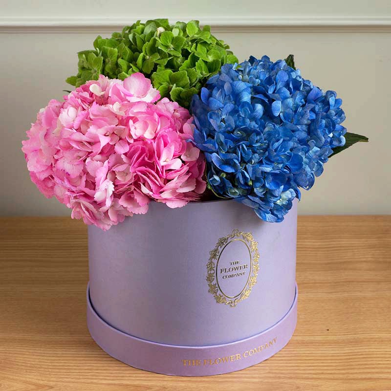 hydrangeas-@-classic-ronde_050518123212.png