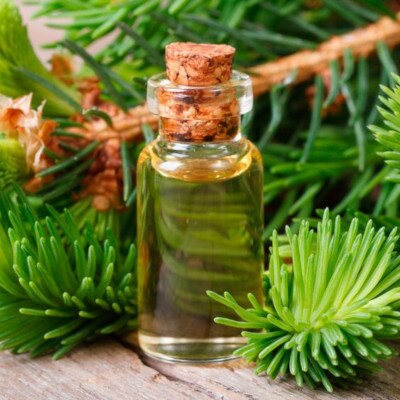fir-needle-essential-oil_032320070228.jpeg fir-needle-essential-oil_032320070228.jpeg