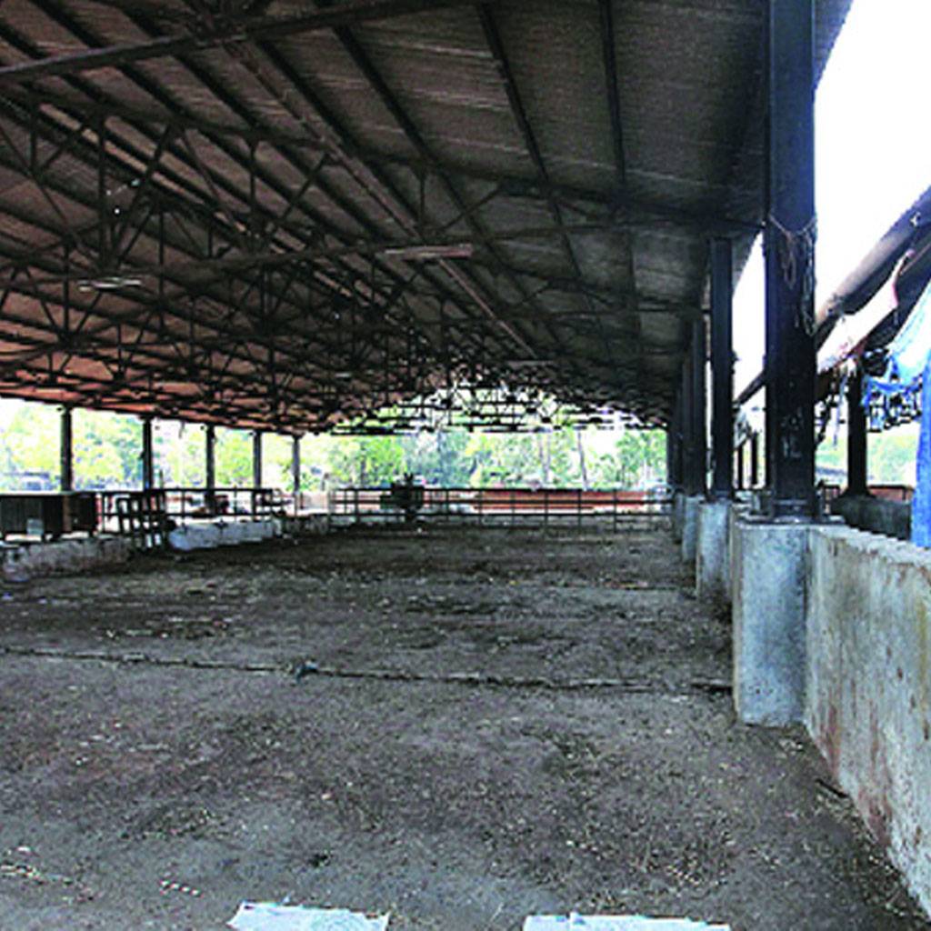 गोसेवक सरकार की नजर भैंस के मांस पर ! real reason behind