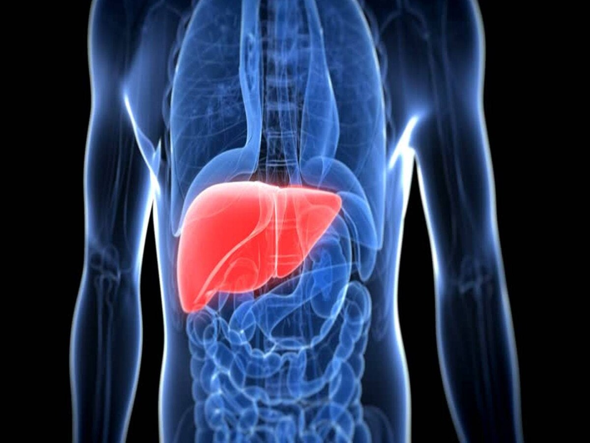 लिवर में अगर भर गया पानी तो तुरंत कराएं इलाज, जानिए इसके लक्षण- If water is filled in the liver, get treatment immediately, know its symptoms