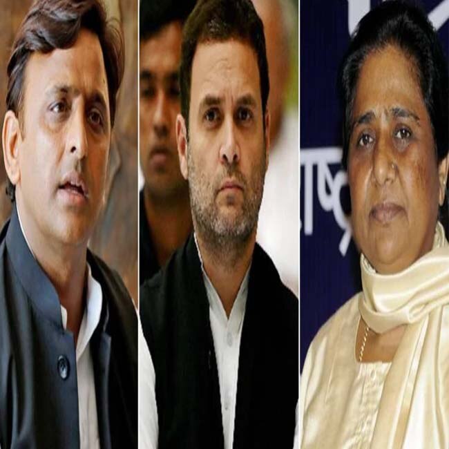 लोकसभा और विधानसभा चुनाव में किसी भी गठबंधन का जादू चल नहीं सका.