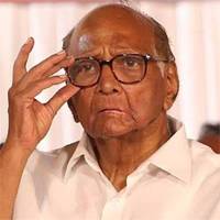 80 साल के पवार आखिर 70 साल के मोदी को चैलेंज क्यों नहीं कर सकते?