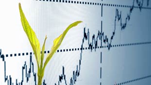 अर्थात: सबसे बड़े सुधार का मौका