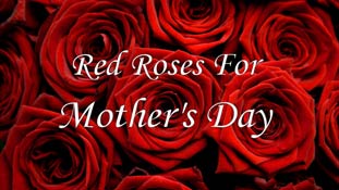 इस मदर्स डे मुझे केवल गुलाब के फूल नहीं चाहिए..