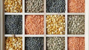 हमारी दाल नहीं गलने वाली...