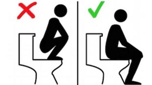 एशियाई पर्यटकों को स्विट्जरलैंड क्यों सि‍खा रहा है टॉयलेट में बैठने का तरीका!