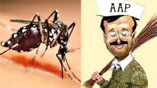 व्यंग्य: आम आदमी को डेंगू हो गया 'जी', झाड़ू कब चलाएंगे 'जी'