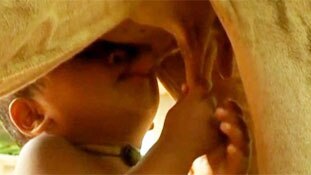 ...तो क्या अब जानवरों से सीखना होगा ममता का पाठ