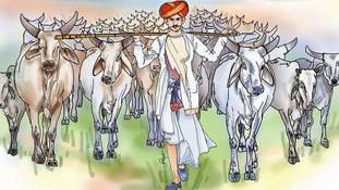 गाय को मारने की क्या जरूरत... वो तो खुद ही मर जाएगी