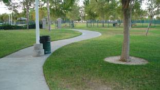 सफाई सोच में होनी चाहिए...