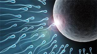 मर्दों के लिए भी जरूरी है सही समय पर शादी और बच्चा