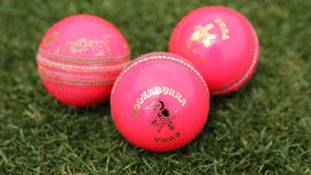 डे-नाइट टेस्ट में पिंक बॉल क्या गुल खिलाएगी?