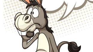 हे भगवान! गधे अल्‍पसंख्‍यक हो रहे हैं...