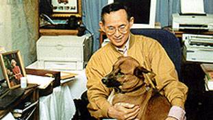 इसे कुत्ते की मौत नहीं, 'खन कूपर' का निधन कहिए