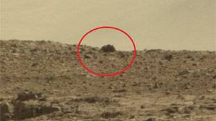 अब मंगल पर दिखा 'चूहा', सोशल मीडिया पर मची हलचल