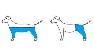 सोशल मीडिया की ये क्रिएटिविटी आपके चेहरे पर स्माइल ला देगी!