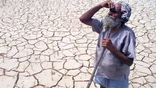 WTO: अमेरिकी करोड़पति किसानों को सब्सिडी, गरीब भारतीय किसानों को मौत?