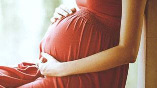 सृजन के सपने तोड़ रहा है जीका वायरस