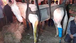 विधायक के अलावा शक्तिमान के दो और गुनहगार!!