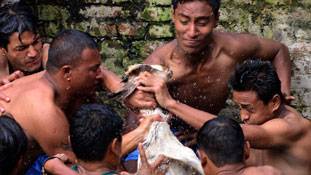 कौन कहेगा कि इंसानों के भेस में ये जानवर नहीं हैं !