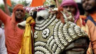 गौरक्षा के नाम पर सरकार को बदनाम करने की साजिश तो नहीं?