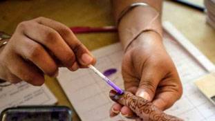 चुनावी गंभीरता घटाते है वोटकटवा दल चुनावी गंभीरता घटाते है वोटकटवा दल